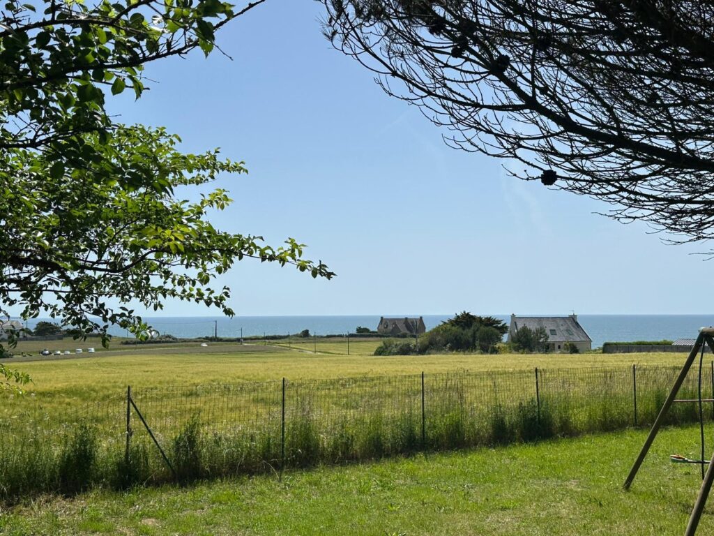 Photo pour mon compte rendu de stage chez Terre d’immo